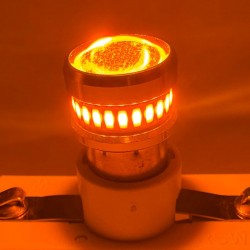 AMPOULE 30 LEDS - 12/24V - ORANGE