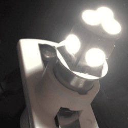Ampoule 8 LEDs 24V - blanc froid : remplacement, modernisation et meilleure sécurité de son véhicule