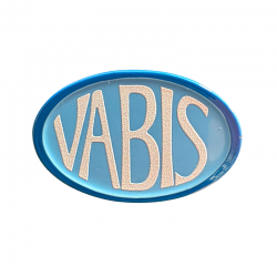 Pins Vabis Bleu : l'accessoire incontournable des fans de camions