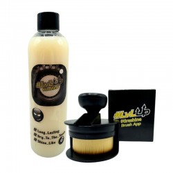TireShine de LvLUp : Brillant Pneus 250 ml + Brosse : kit complet pour redonner vie à ses pneus