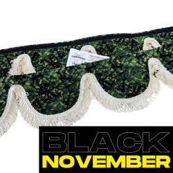 FRANGE DE PARE BRISE DANOIS...