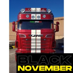 SCANIA R/STR PARE PERROQUET...