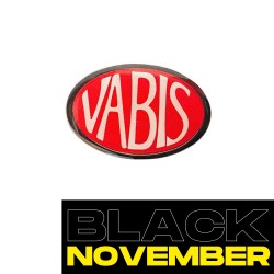 VABIS ROUGE - PINS