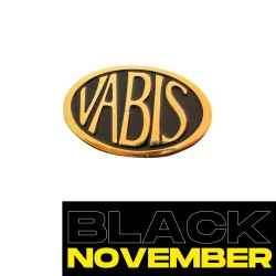 VABIS GOLD - PINS