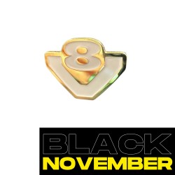 V8 GOLD - PINS