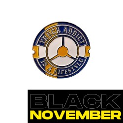 TRUCK ADDICT SUEDE - PINS