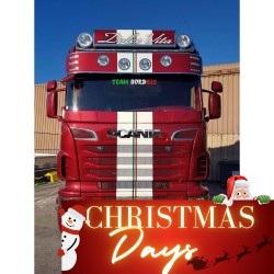 SCANIA R/STR PARE PERROQUET...