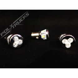 AMPOULES 8 LEDS - 24V - BLANC