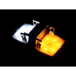 MODULE LED POUR DOUBLE AMPOULE - ORANGE / BLANC FROID