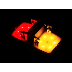 MODULE LED POUR DOUBLE AMPOULE - ORANGE / ROUGE