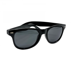 LUNETTES DE SOLEIL POLYTRUCKS NOIRE